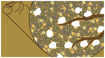 Expansion & contraction of the WaterWorks Crystal improves aeration