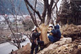 Img #2