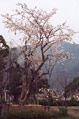 Img #4