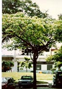 Img #26