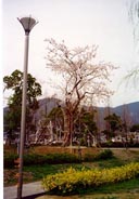 Img #27