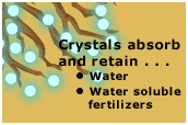roots growing around WaterWorks Crystals